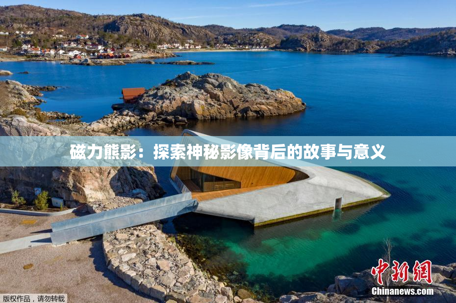 磁力熊影：探索神秘影像背后的故事与意义