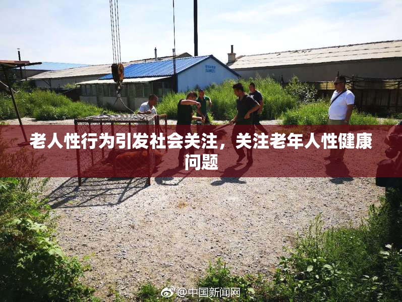 老人性行为引发社会关注，关注老年人性健康问题