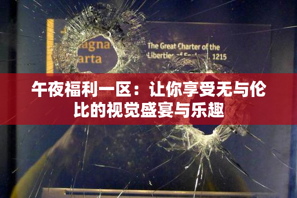 午夜福利一区：让你享受无与伦比的视觉盛宴与乐趣
