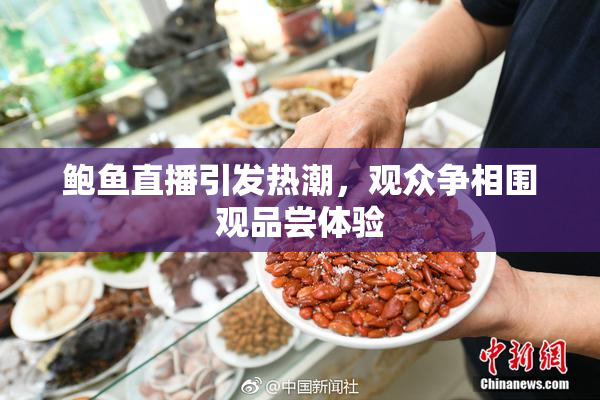 鲍鱼直播引发热潮，观众争相围观品尝体验