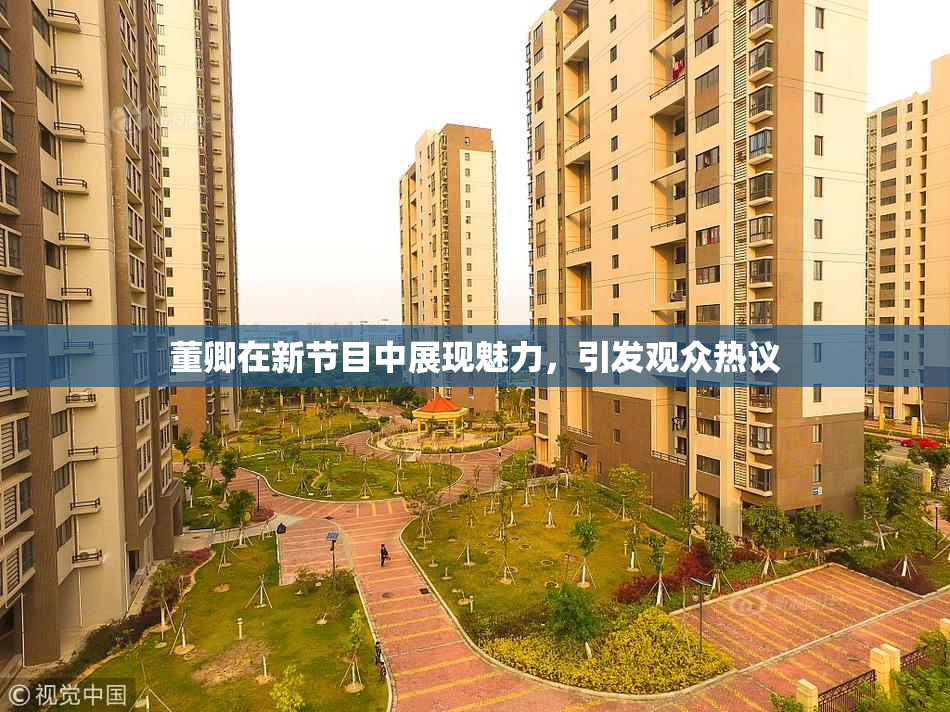 董卿在新节目中展现魅力，引发观众热议