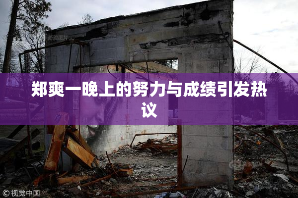 郑爽一晚上的努力与成绩引发热议
