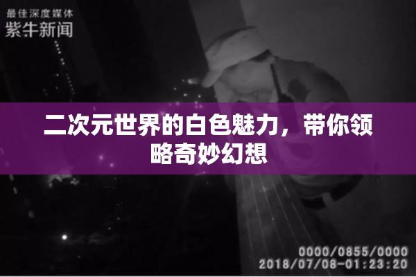 二次元世界的白色魅力，带你领略奇妙幻想