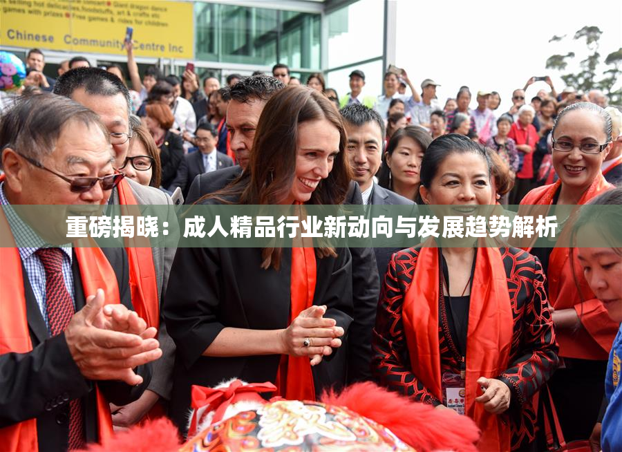 重磅揭晓：成人精品行业新动向与发展趋势解析