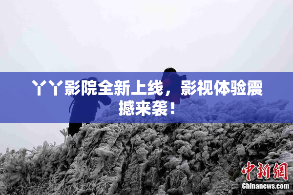丫丫影院全新上线，影视体验震撼来袭！