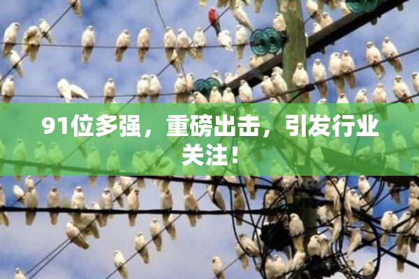91位多强，重磅出击，引发行业关注！