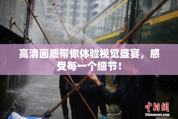 高清画质带你体验视觉盛宴，感受每一个细节！