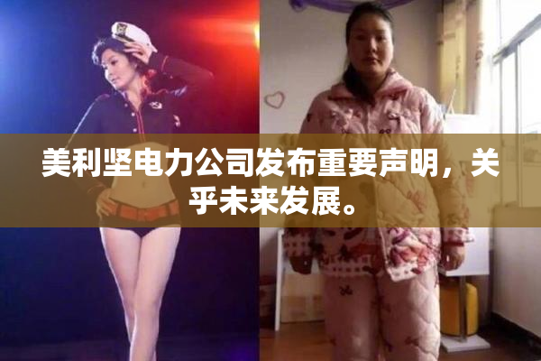 美利坚电力公司发布重要声明，关乎未来发展。