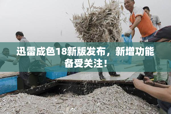 迅雷成色18新版发布，新增功能备受关注！