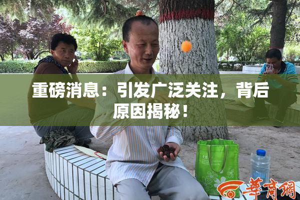重磅消息：引发广泛关注，背后原因揭秘！