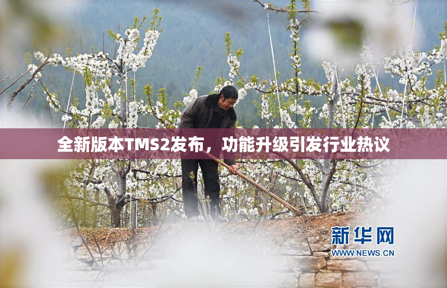 全新版本TMS2发布，功能升级引发行业热议