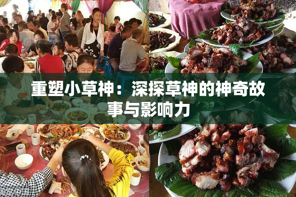 重塑小草神：深探草神的神奇故事与影响力