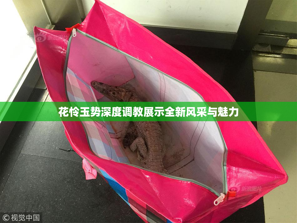 花怜玉势深度调教展示全新风采与魅力