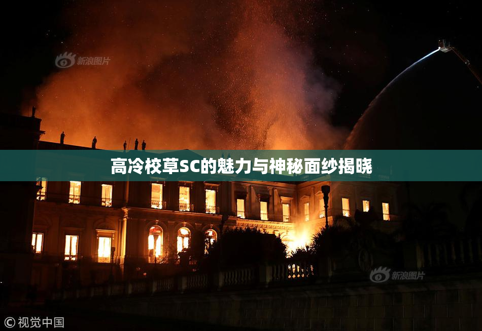 高冷校草SC的魅力与神秘面纱揭晓
