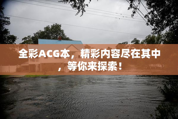 全彩ACG本，精彩内容尽在其中，等你来探索！