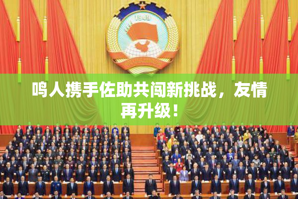 鸣人携手佐助共闯新挑战，友情再升级！