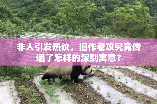 非人引发热议，旧作老攻究竟传递了怎样的深刻寓意？