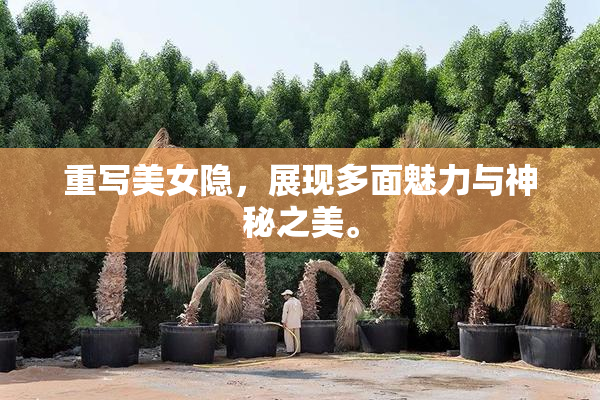 重写美女隐，展现多面魅力与神秘之美。