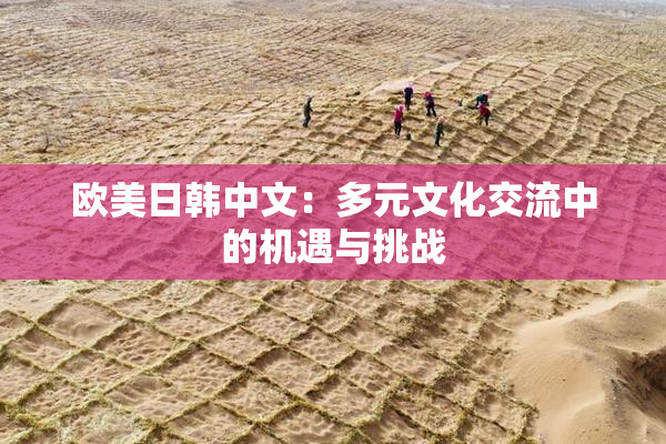 欧美日韩中文：多元文化交流中的机遇与挑战