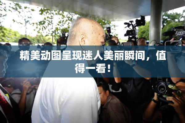 精美动图呈现迷人美丽瞬间，值得一看！