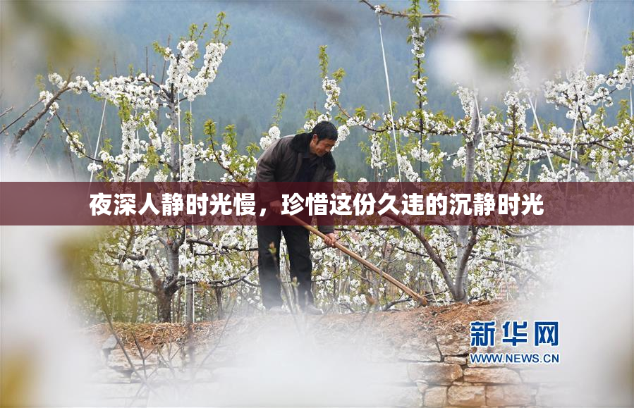 夜深人静时光慢，珍惜这份久违的沉静时光