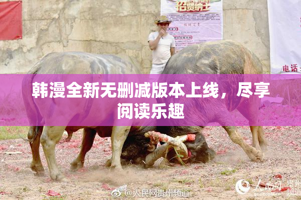 韩漫全新无删减版本上线，尽享阅读乐趣
