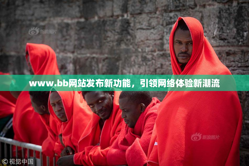 www.bb网站发布新功能，引领网络体验新潮流