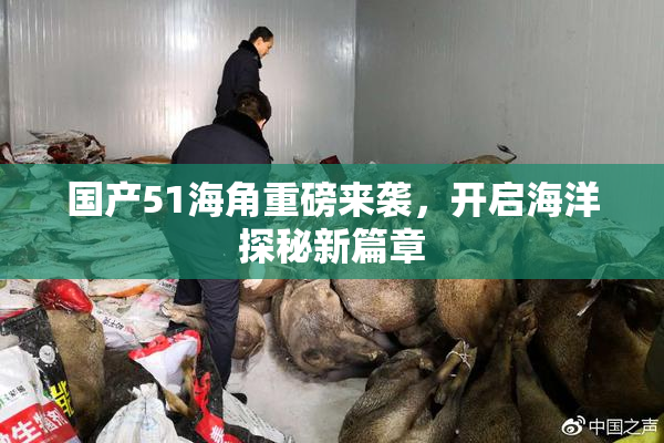 国产51海角重磅来袭，开启海洋探秘新篇章