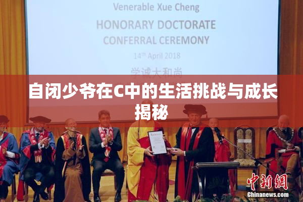 自闭少爷在C中的生活挑战与成长揭秘