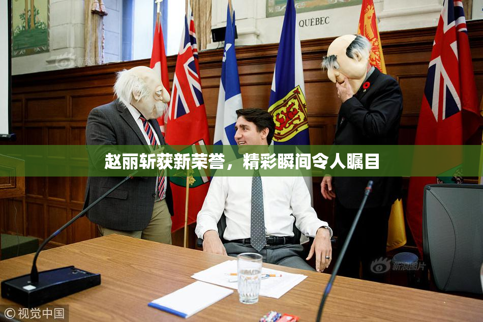 赵丽斩获新荣誉，精彩瞬间令人瞩目