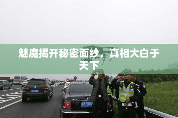 魅魔揭开秘密面纱，真相大白于天下