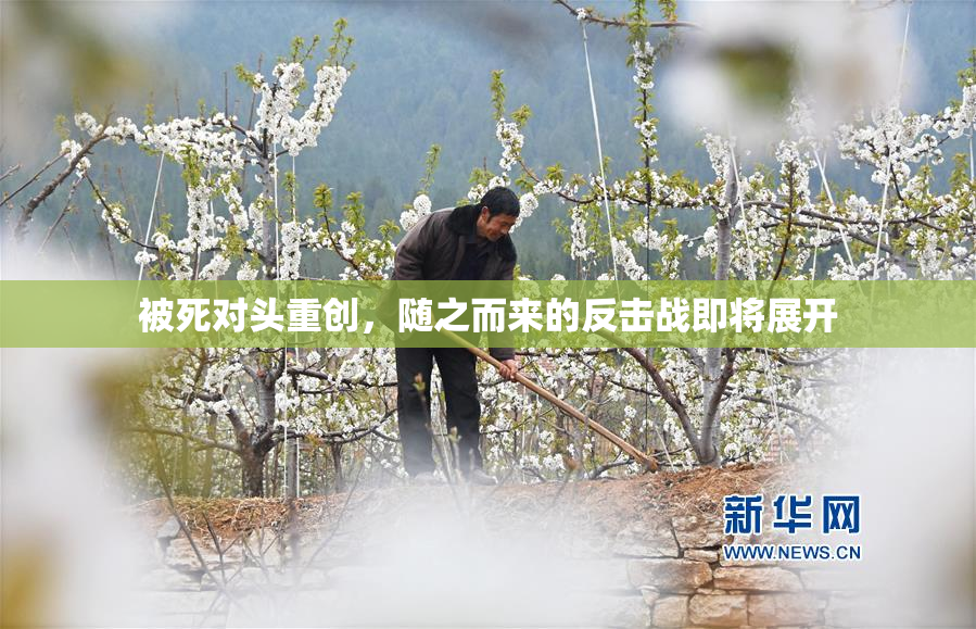 被死对头重创，随之而来的反击战即将展开