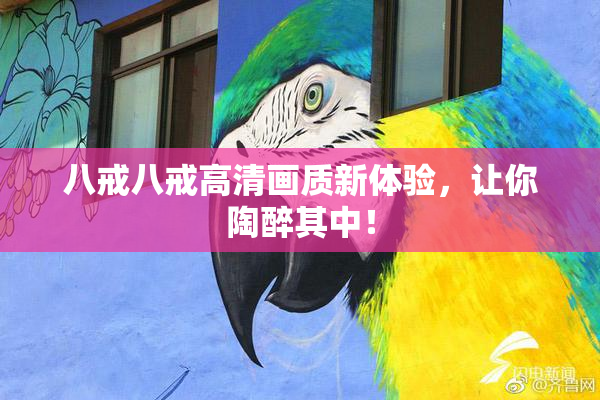 八戒八戒高清画质新体验，让你陶醉其中！