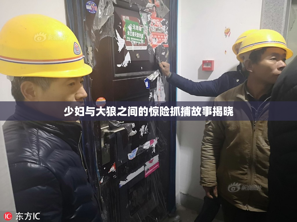 少妇与大狼之间的惊险抓捕故事揭晓