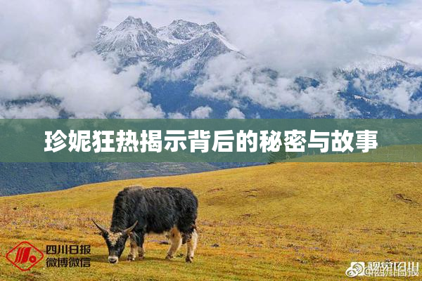 珍妮狂热揭示背后的秘密与故事