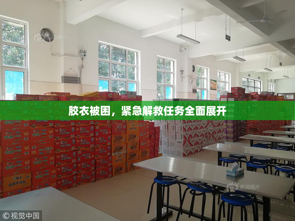 胶衣被困，紧急解救任务全面展开
