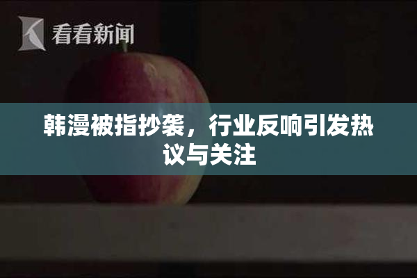 韩漫被指抄袭，行业反响引发热议与关注