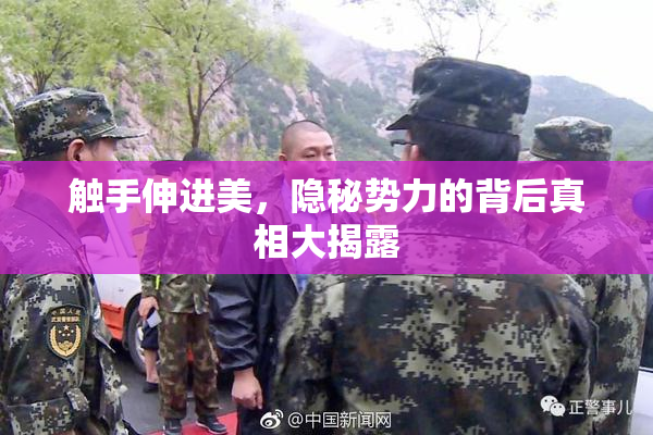 触手伸进美，隐秘势力的背后真相大揭露