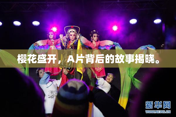 樱花盛开，A片背后的故事揭晓。