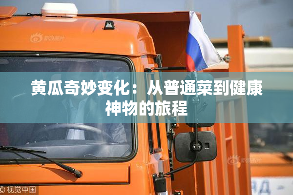 黄瓜奇妙变化：从普通菜到健康神物的旅程