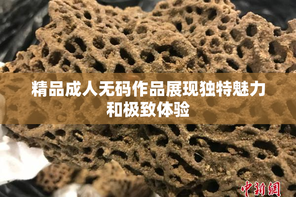 精品成人无码作品展现独特魅力和极致体验