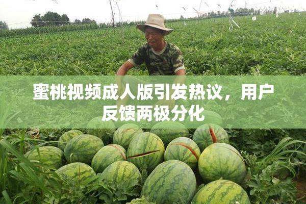 蜜桃视频成人版引发热议，用户反馈两极分化