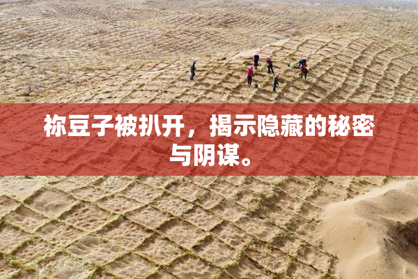祢豆子被扒开，揭示隐藏的秘密与阴谋。
