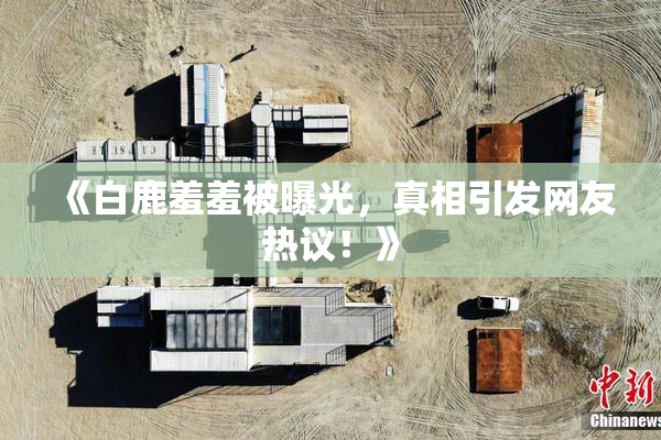 《白鹿羞羞被曝光，真相引发网友热议！》