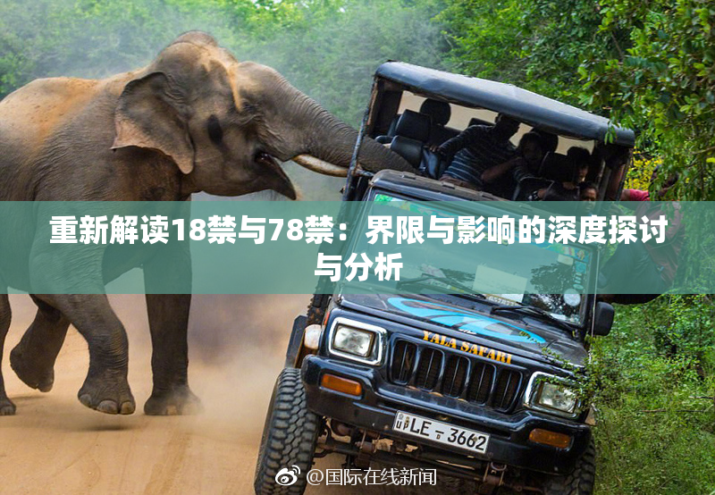 重新解读18禁与78禁：界限与影响的深度探讨与分析