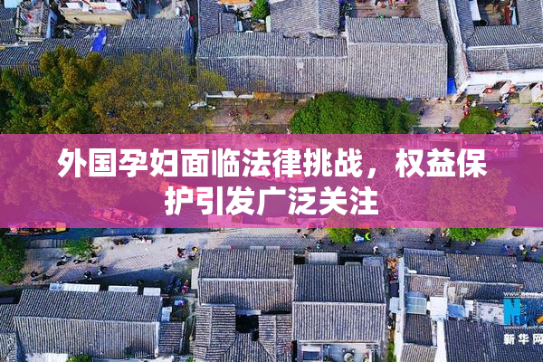 外国孕妇面临法律挑战，权益保护引发广泛关注