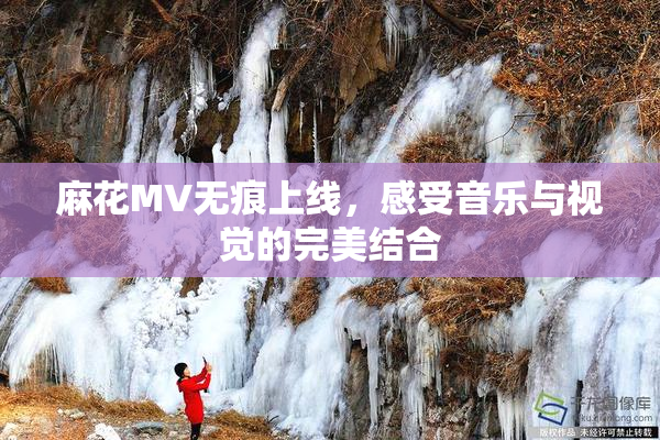 麻花MV无痕上线，感受音乐与视觉的完美结合