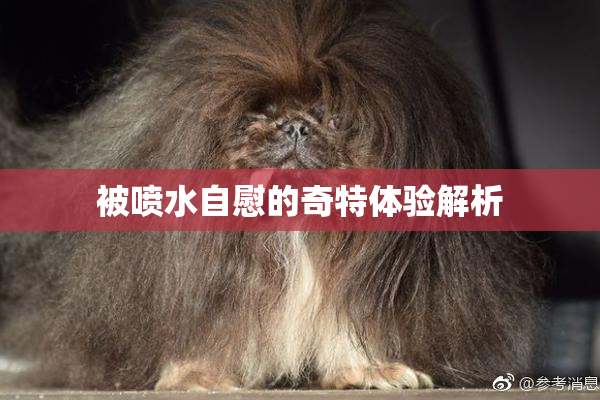 被喷水自慰的奇特体验解析