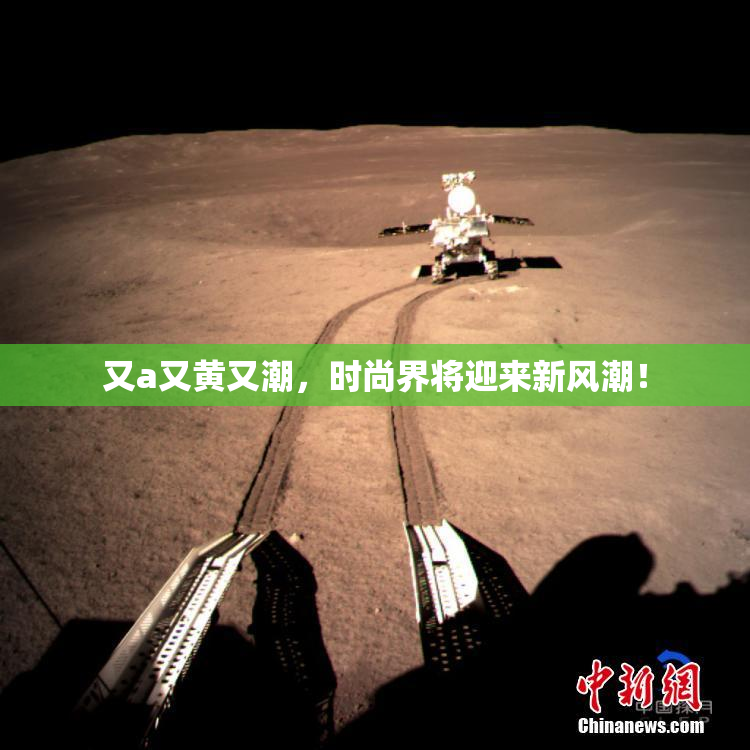 又a又黄又潮，时尚界将迎来新风潮！
