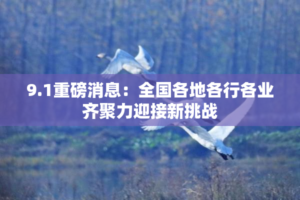 9.1重磅消息：全国各地各行各业齐聚力迎接新挑战